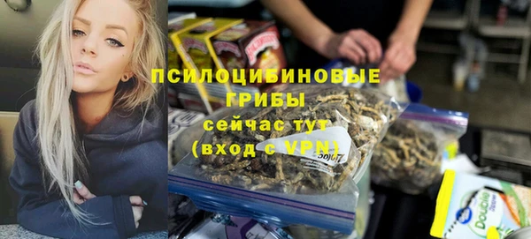 прущие грибы Абаза