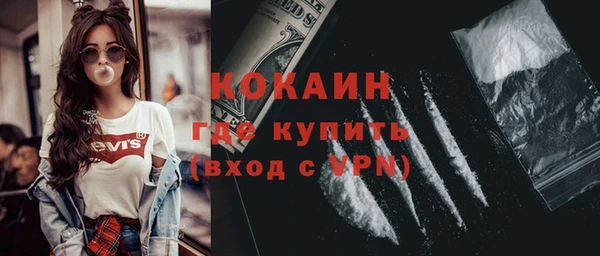 прущие грибы Абаза