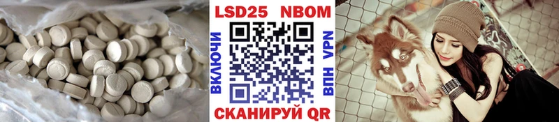 LSD-25 экстази кислота  сколько стоит  блэк спрут зеркало  Прохладный 